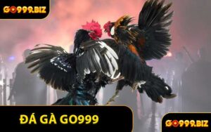 ​Đá Gà GO999