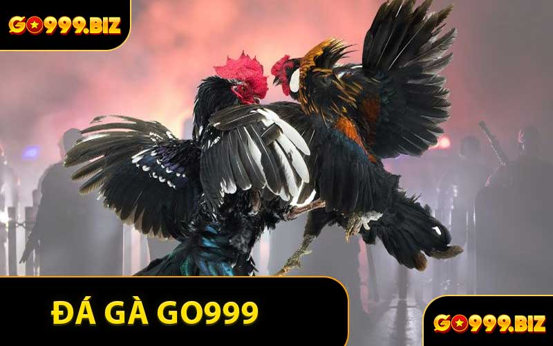 ​Đá Gà GO999