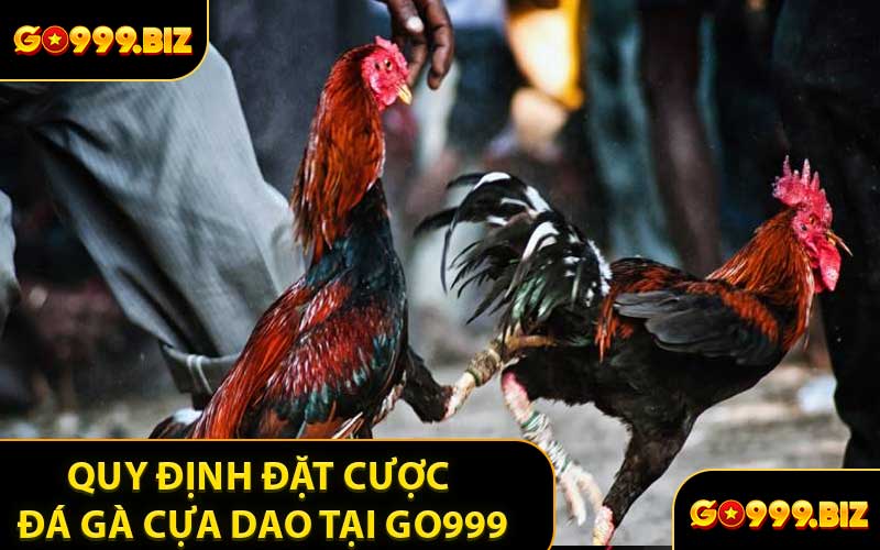 Quy Định Đặt Cược Đá Gà Cựa Dao Tại GO999