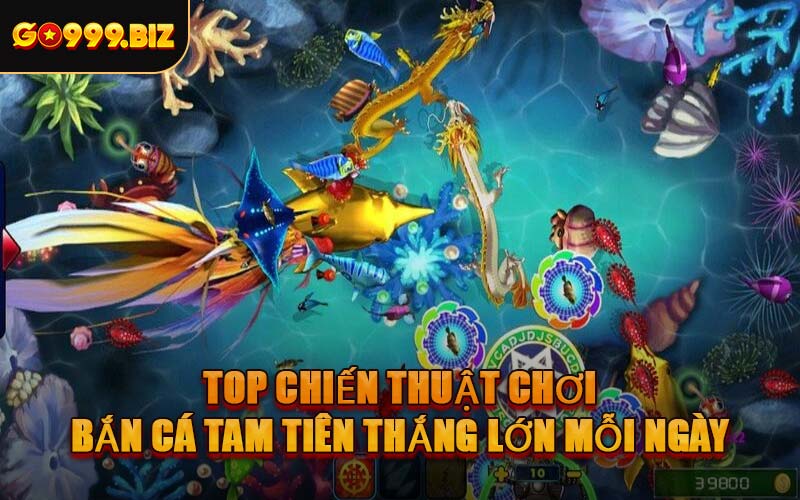 Top Chiến Thuật Chơi Bắn Cá Tam Tiên Thắng Lớn Mỗi Ngày