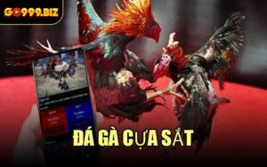 Đá Gà Cựa Sắt