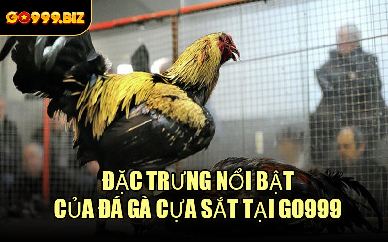 Đặc trưng nổi bật của Đá Gà Cựa Sắt tại GO999