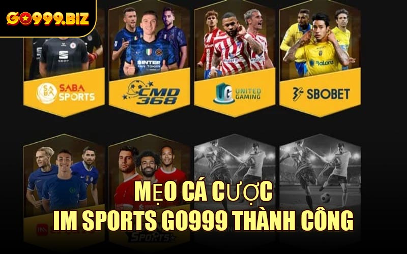Mẹo Cá Cược IM Sports GO999 Thành Công
