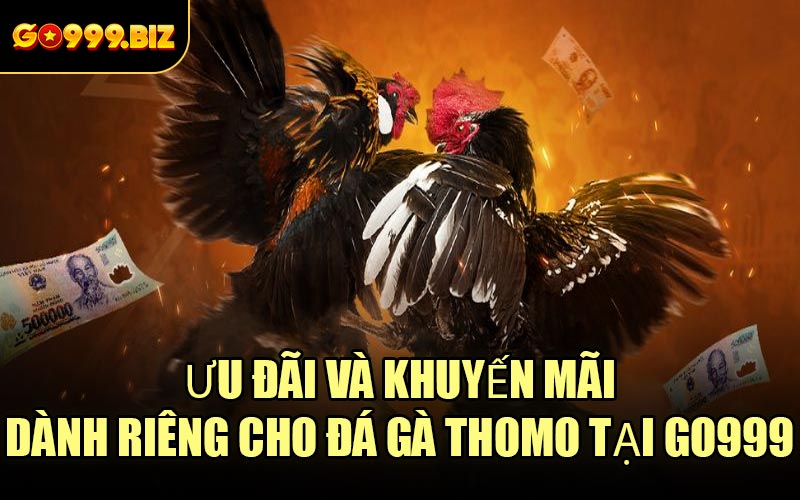 Ưu đãi và khuyến mãi dành riêng cho Đá Gà Thomo tại GO999